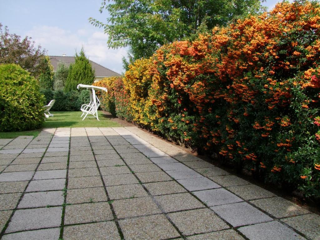 Rajna Apartmanház Bogács Exteriér fotografie